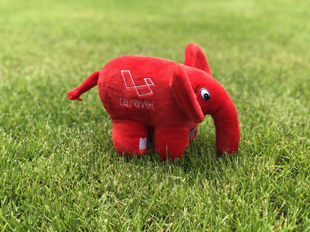 hybrid-kalahari-goats-available-big-0