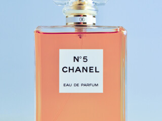 ullam-rerum-illum-necessitatibus-numquam