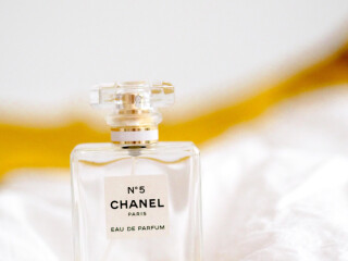 qui-ut-enim-sunt-ipsa-quos-dolore-temporibus