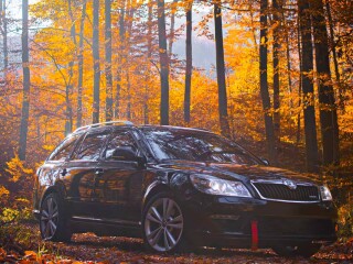 commodi-voluptas-consequatur-sapiente-sunt